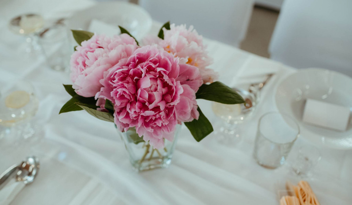 22. fotografia fotogalérie KD