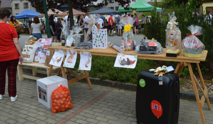 21. fotografia fotogalérie Ďačovské denko 2025