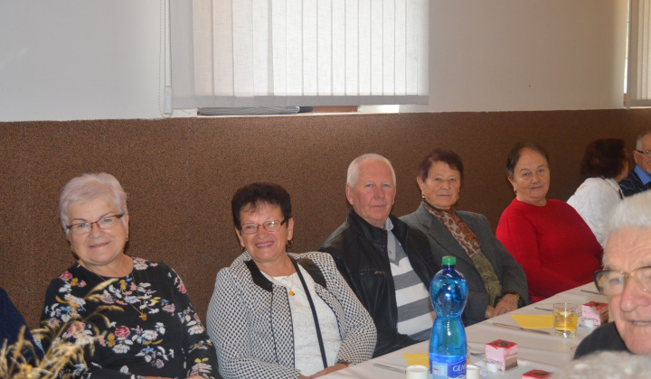 11. fotografia fotogalérie Október - mesiac úcty k starším 2024