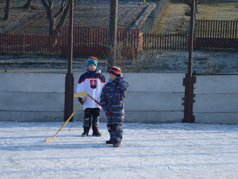 Hokejový turnaj, 02. 01. 2016